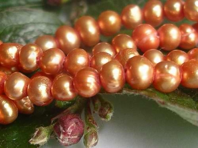 Orangeguld Sötvattenspärlor Potatis 3-4 mm 37-39cm/str.