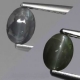 Bra Pris Mycket Sällsynt Alexandrit Kattöga 0,58 carat Oval Cabochon Skarpt Öga Fin Kvalitet från Madagaskar Köp Nu!