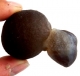 Bra Pris Mycket Spännande Kalcedon 57 gram Naturlig Intressant Formation Perfekt Samlar Objekt från Marocko Köp Nu!