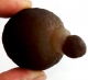 Bra Pris Mycket Spännande Kalcedon 50 gram Naturlig Intressant Formation Perfekt Samlar Objekt från Marocko Köp Nu!