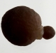 Bra Pris Mycket Spännande Kalcedon 50 gram Naturlig Intressant Formation Perfekt Samlar Objekt från Marocko Köp Nu!