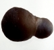 Bra Pris Mycket Spännande Kalcedon 61 gram Naturlig Intressant Formation Perfekt Samlar Objekt från Marocko Köp Nu!