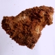 Bra Pris Very Beutiful Vanadinite 173 gram Natural Crystals on matrix Rare Mineral from Mibladen Morocko Purchase Now!