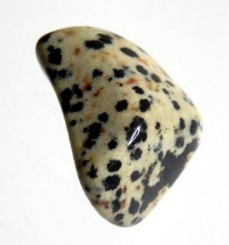 Bra Pris Topp Kvalitet Trumlad Dalmatiner Jaspis 8-10 gram Fin Färg och Mönster Köp Nu!