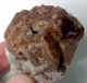 Bra Pris Fina Kristaller av Grossular Granat 120,7 gram Naturliga Kristaller i Matrix Fin Färg från Taven Nordland, Norge Köp Nu!