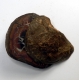 Bra Pris Mycket vackert Naturligt Konstverk Fossil 2 st/1 par Septarian Nodul 193 gram Sågad Polerade Halvor Intressant Spännande Samlar Objekt från Marocko Köp Nu!