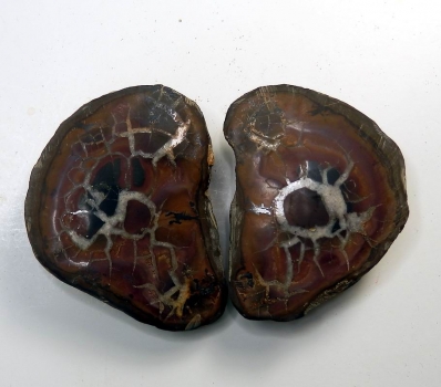 Bra Pris Mycket vackert Naturligt Konstverk Fossil 2 st/1 par Septarian Nodul 193 gram Sågad Polerade Halvor Intressant Spännande Samlar Objekt från Marocko Köp Nu!