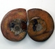 Bra Pris Mycket vackert Naturligt Konstverk Fossil 2 st/1 par Ammonit 69 gram Sågad Polerade Halvor Intressant Spännande Samlar Objekt från Marocko Köp Nu!