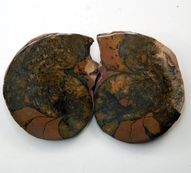 Bra Pris Mycket vackert Naturligt Konstverk Fossil 2 st/1 par Ammonit 113 gram Sågad Polerade Halvor Intressant Spännande Samlar Objekt från Marocko Köp Nu!