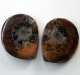Bra Pris Mycket vackert Naturligt Konstverk Fossil 2 st/1 par Ammonit 44 gram Sågad Polerade Halvor Intressant Spännande Samlar Objekt från Marocko Köp Nu!