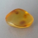 Bra Pris Sällsynt Sort av Äkta Bärnsten 3,55 carat Polerad Bit från Dominikanska Republiken Köp Nu!