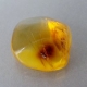 Good Price Rare Kind of True Amber 4,02 carat Polished Piece from Dominican Republic Purchase Now!