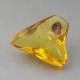 Bra Pris Sällsynt Sort av Äkta Bärnsten 4,05 carat Polerad Bit från Dominikanska Republiken Köp Nu!
