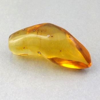 Bra Pris Sällsynt Sort av Äkta Bärnsten 4,21 carat Polerad Bit från Dominikanska Republiken Köp Nu!