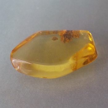 Bra Pris Sällsynt Sort av Äkta Bärnsten 4,96 carat Polerad Bit från Dominikanska Republiken Köp Nu!