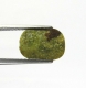 Bra Pris Mycket Intressant Stichtit 1,83 carat Kudd Cabochon Vacker Färg fr Tasmanien Köp Nu!