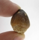 Bra Pris Spännande Fint Formad Tand från Mossasaurie 7,85 gram Hög Intressant Samlar Objekt från Marocko Köp Nu!