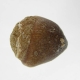 Bra Pris Spännande Fint Formad Tand från Mossasaurie 7,85 gram Hög Intressant Samlar Objekt från Marocko Köp Nu!