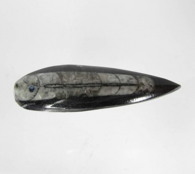Bra Pris Unikt Smycke Fossil Marmorerad Ortoceratit 8,15 gram Polerat Hänge med Hål från Marocko Köp Nu!