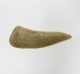 Bra Pris Enchodus Fossil Fisktand 3,25 gram Uppskattat 100 milj år gammal från Sahara, Marocko Köp Nu!