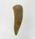 Bra Pris Enchodus Fossil Fisktand 3,25 gram Uppskattat 100 milj år gammal från Sahara, Marocko Köp Nu!
