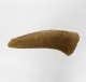 Bra Pris Enchodus Fossil Fisktand 4,80 gram Uppskattat 100 milj år gammal från Sahara, Marocko Köp Nu!