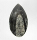 Good Price Interesting Marbled Ortoceratite 32,15 gram Polished Collection Piece from Morocko Purchase Now!