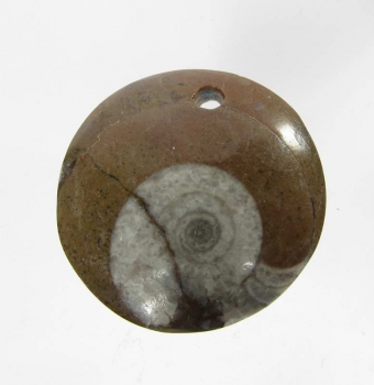 Bra Pris Unikt Smycke Fossil Ammonit i Matrix 11,55 gram Polerat Hänge med Hål från Marocko Köp Nu!
