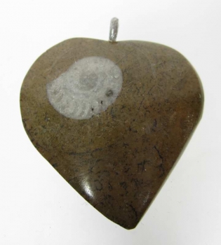 Bra Pris Unikt Smycke Fossil Ammonit i Matrix 13,70 gram Polerat Hänge med Ögla från Marocko Köp Nu!