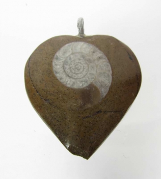 Bra Pris Unikt Smycke Fossil Ammonit i Matrix 10,95 gram Polerat Hänge med Ögla från Marocko Köp Nu!