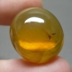 Bra Pris Mycket Sällsynt Burmit med Insekt 9,80 carat Oval Cabochon Världens Äldsta Bärnsten fr Burma Köp Nu!