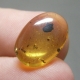 Bra Pris Mycket Sällsynt Burmit med Insekt 2,05 carat Oval Cabochon Världens Äldsta Bärnsten fr Burma Köp Nu!