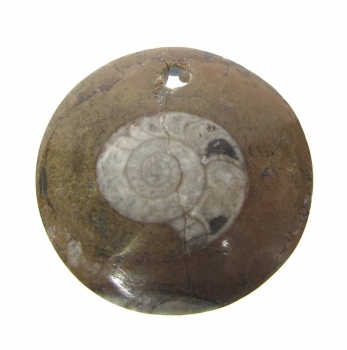 Bra Pris Unikt Smycke Fossil Ammonit i Matrix 12,90 gram Polerat Hänge med Hål från Marocko Köp Nu!