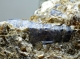 Bra Pris Specimen Många Tvåfärgad Safir Kristaller 316 gram i Glimmer Matrix från Kashmir Pakistan Köp Nu!