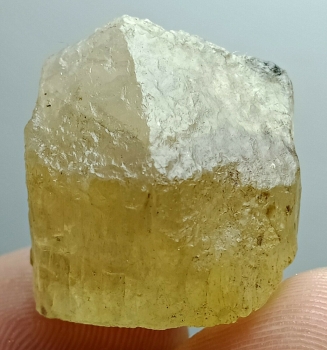 Bra Pris Specimen Mycket Vacker Gul Skapolit 56,60 carat Naturlig Terminerad Kristall Transparent från Afganistan Köp Nu!