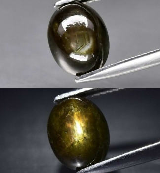 Bra Pris Behandlad Unik Svart Grön Stjärn Safir 4,91 carat Oval Cabochon 6-strålig Stjärna från Thailand Köp Nu!