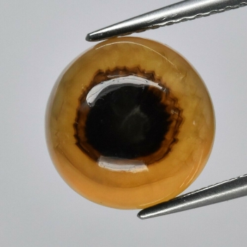 Bra Pris Mycket Ovanlig Kalcit 4,10 carat Rund Cabochon Vacker Unik Färg från Thailand Köp Nu!