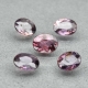 Bra Pris Certifierad 1 st Parti 5 st Obehandlad Purpur Rosa  Safir 1,55 carat Oval Slipning Mycket Vackra fr Madagaskar Köp Nu!