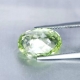 Bra Pris Certifierad Stor Mycket Sällsynt Amblygonit 4,88 carat Oval Slipning Spännade Samlarsten från Brasilien Köp Nu!