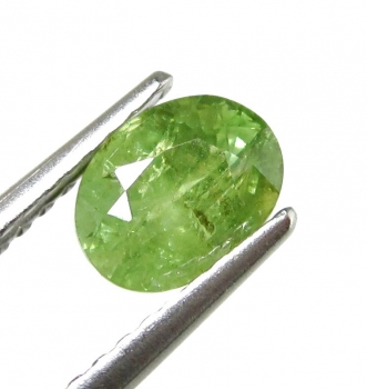Bra Pris Mycket Fin Kvalitet Sällsynt Gulaktigt Grön Demantoid Granat 0,90 carat Oval Slipad Topp Lyster från Namibia Köp Nu!