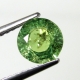 Bra Pris Mycket Fin Kvalitet Sällsynt Gulaktigt Grön Demantoid Granat 0,98 carat Rund Slipad Topp Lyster från Namibia Köp Nu!