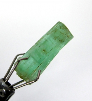 Bra Pris Rå Sällsynt Ljus Blåaktigt Grön Smargad Kristall 2,78 carat Naturlig Kristall Transparent från Afganistan Köp Nu!