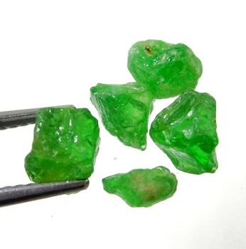 Bra Pris Parti 5 st Mycket Sällsynt Intensiv Grön Tsavorit Granat 5,90 carat Naturlig Kristall Topp Kvalitet från Tanzania Köp Nu!