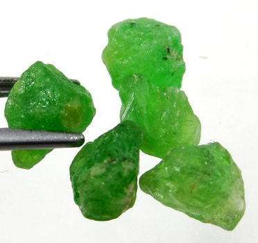 Bra Pris Parti 5 st Mycket Sällsynt Intensiv Grön Tsavorit Granat 7,24 carat Naturlig Kristall Topp Kvalitet från Tanzania Köp Nu!