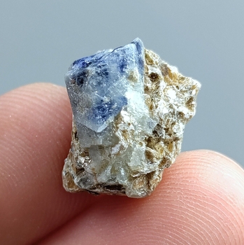 Bra Pris Mycket Fin Specimen Tvåfärgad Safir 22,75 carat Naturlig Kristall i Glimmer Matrix från Kashmir Pakistan Köp Nu!