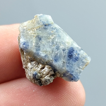 Bra Pris Mycket Fin Specimen Tvåfärgad Safir 27,82 carat Naturlig Kristall i Glimmer Matrix från Kashmir Pakistan Köp Nu!