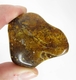 Good Price Big Very Nice Quality Rough Uncut True Amber 56,06 carat  Good Colour Transparent-Translucent from Baltic Sea Purchase Now!
