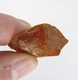 Bra Pris Stor Mycket Fin Kvalitet Rå Oslipad Äkta Bärnsten 30,52 carat Härlig Färg Transparent-Translucent från Östersjön Köp Nu!