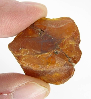 Bra Pris Stor Mycket Fin Kvalitet Rå Oslipad Äkta Bärnsten 30,52 carat Härlig Färg Transparent-Translucent från Östersjön Köp Nu!