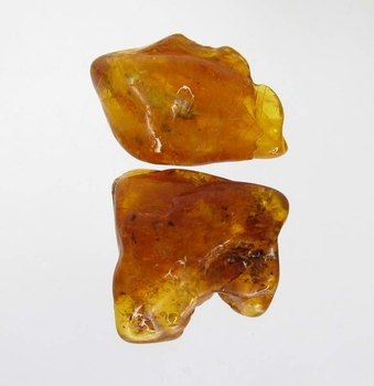 Bra Pris Parti 2 st Mycket Fin Kvalitet Rå Oslipad Äkta Bärnsten 31,69 carat Härlig Färg Transparent-Translucent från Östersjön Köp Nu!